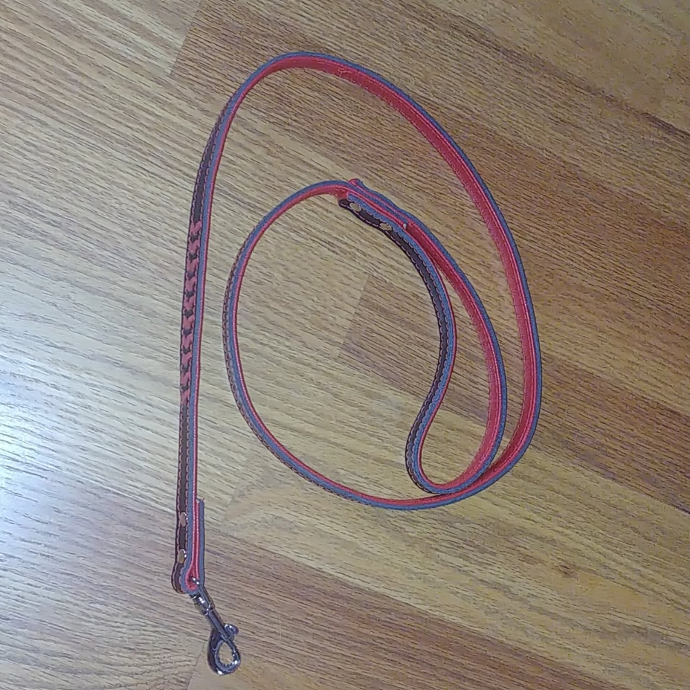 4ft dog leash